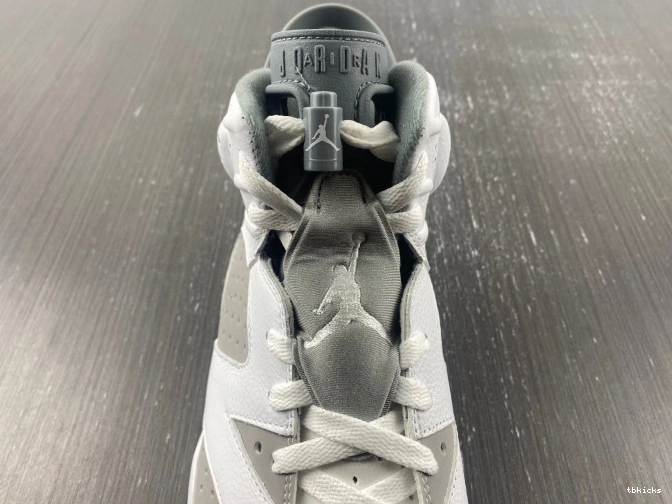 Cheap TB CT8529-100 Jordan 6 Cool Grey Air 0825